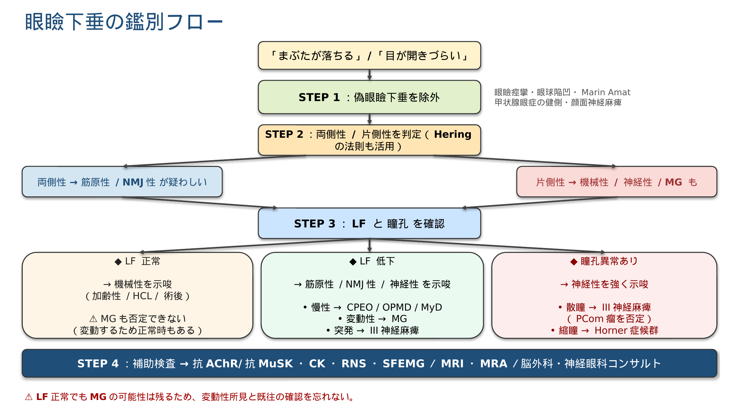 眼瞼下垂の鑑別フロー