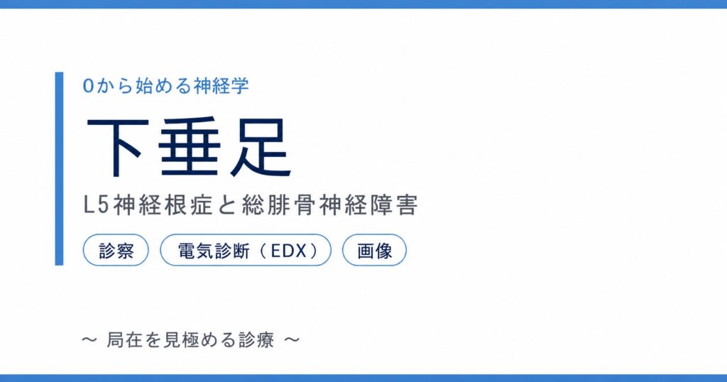 下垂足：L5神経根症と総腓骨神経障害の鑑別